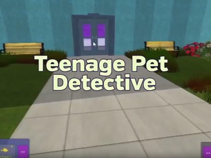Autism Gaming Project