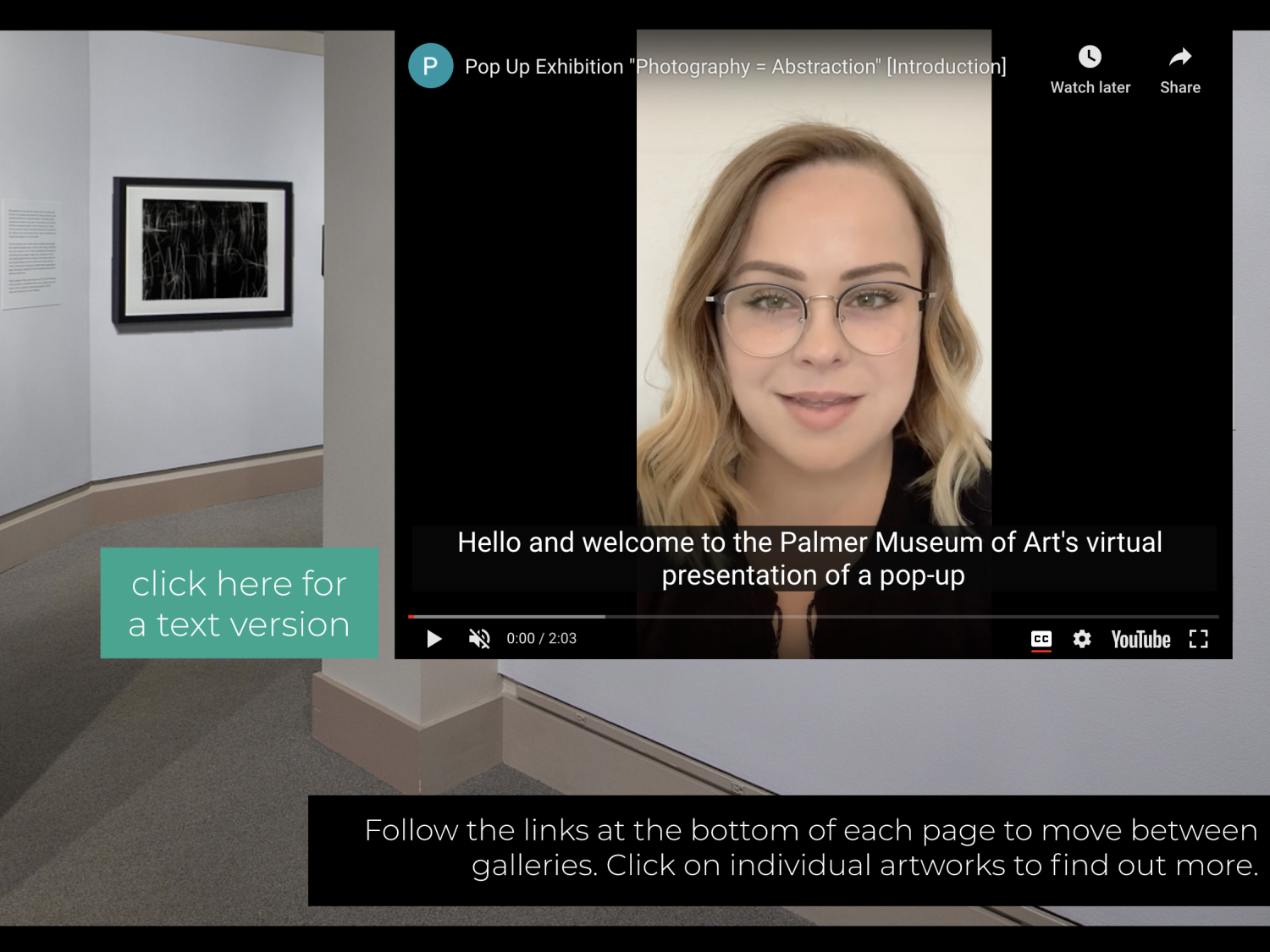Still from the Palmer's "Photography=Abstraction" virtual Pop Up exhibition