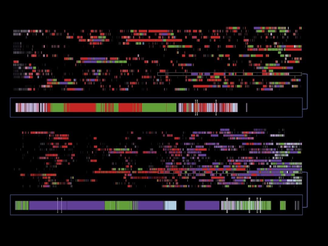 Smartphone screenomes for two adolescents over 21 days.