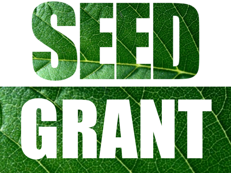 RISE seed grant