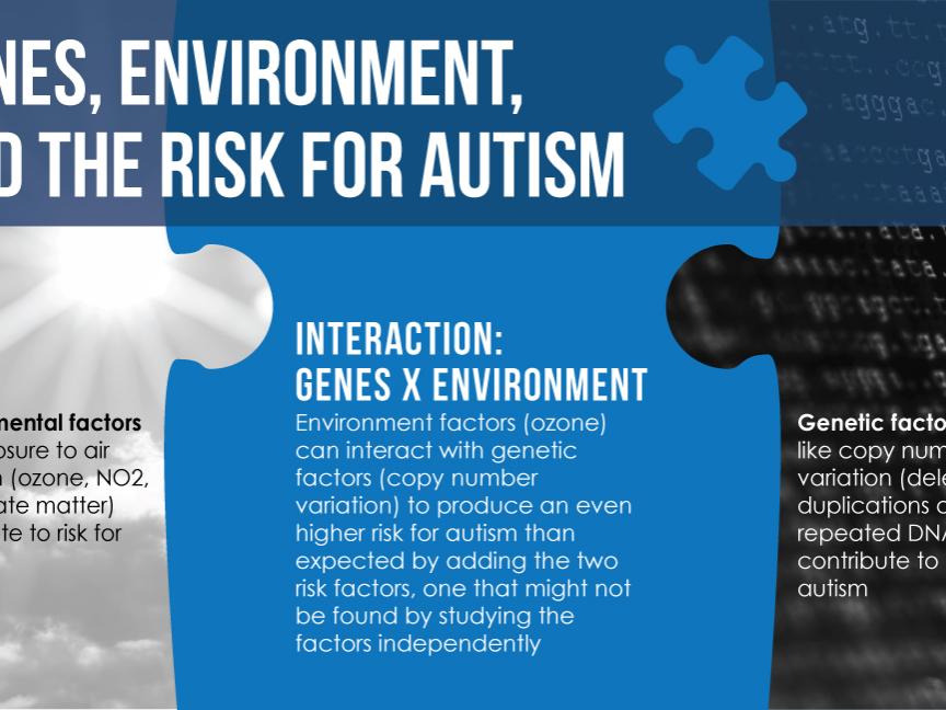 Genes, Environment, and the Risk for Autism