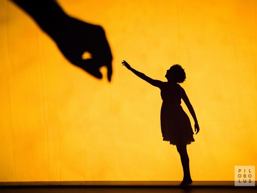 A dancer performs in front of a screen in the Pilobolus production of “Shadowland.”