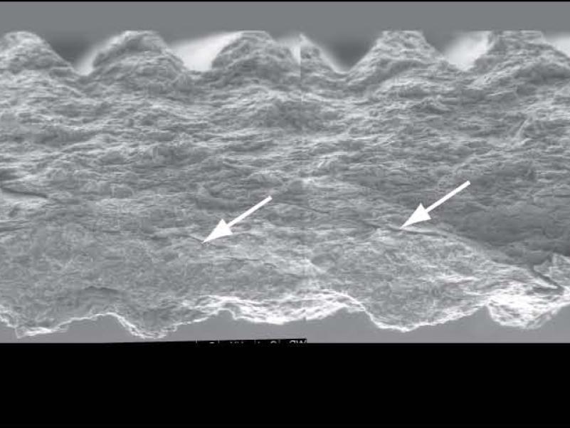 electron microscope images of laboratory fault zone