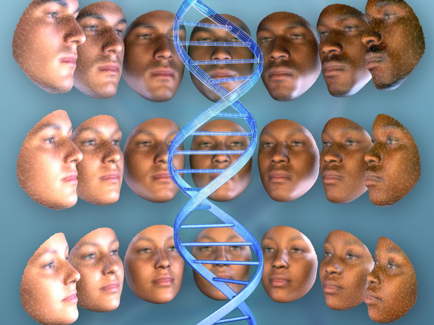 faces and DNA strand