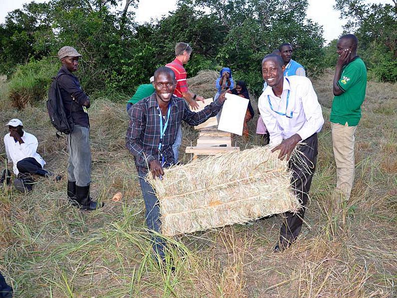 Haymaking in Uganda