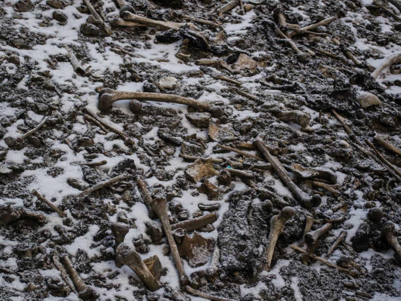 Skeletal remains scattered at Roopkund Lake