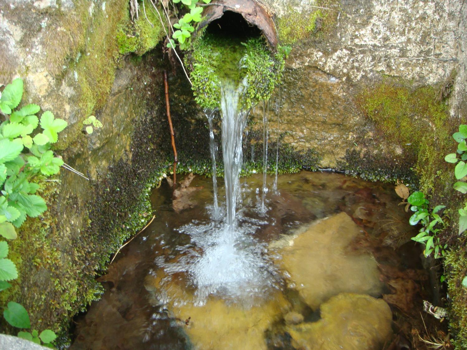 spring water flowing photo