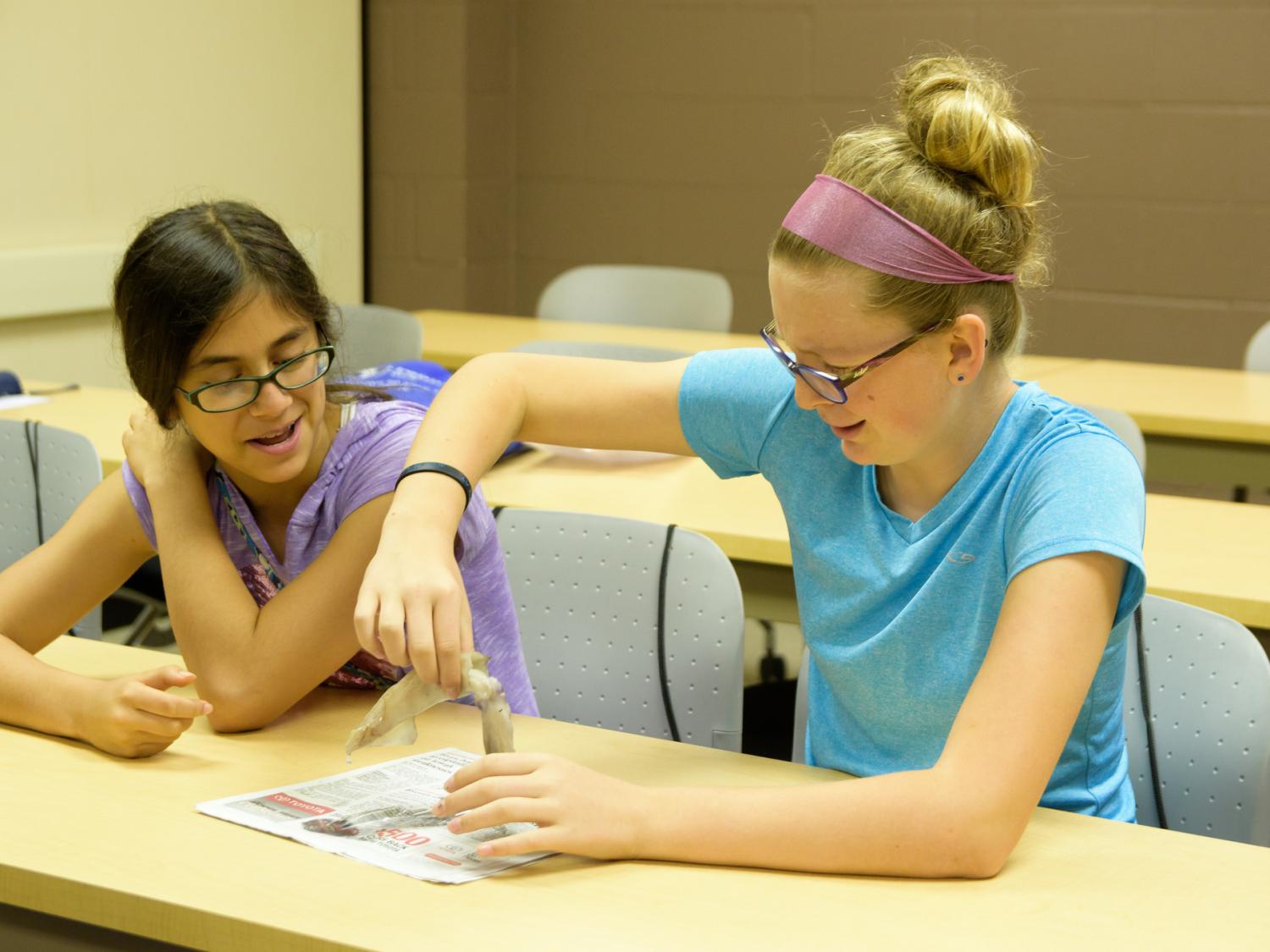 Pathways Squid Workshop