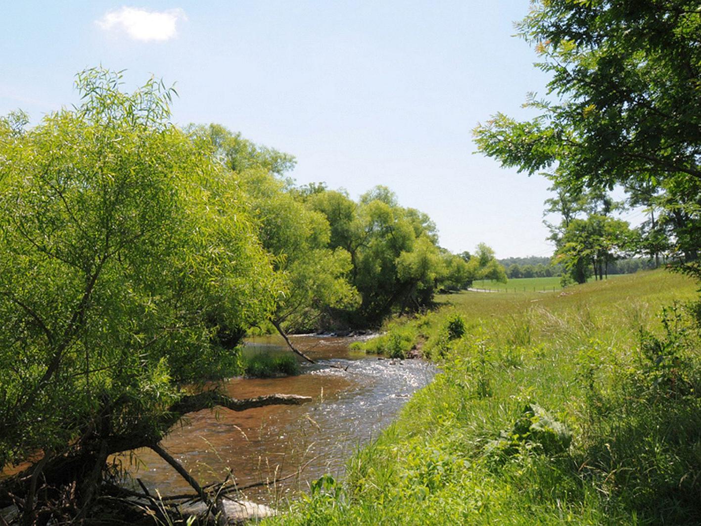 Stream and buffer