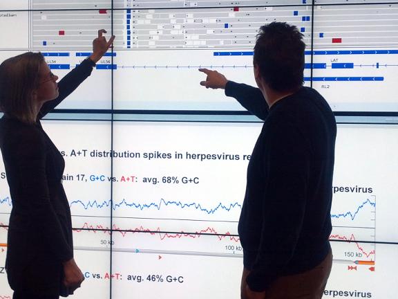 Moriah Szpara and Jacob Shreve - data visualization
