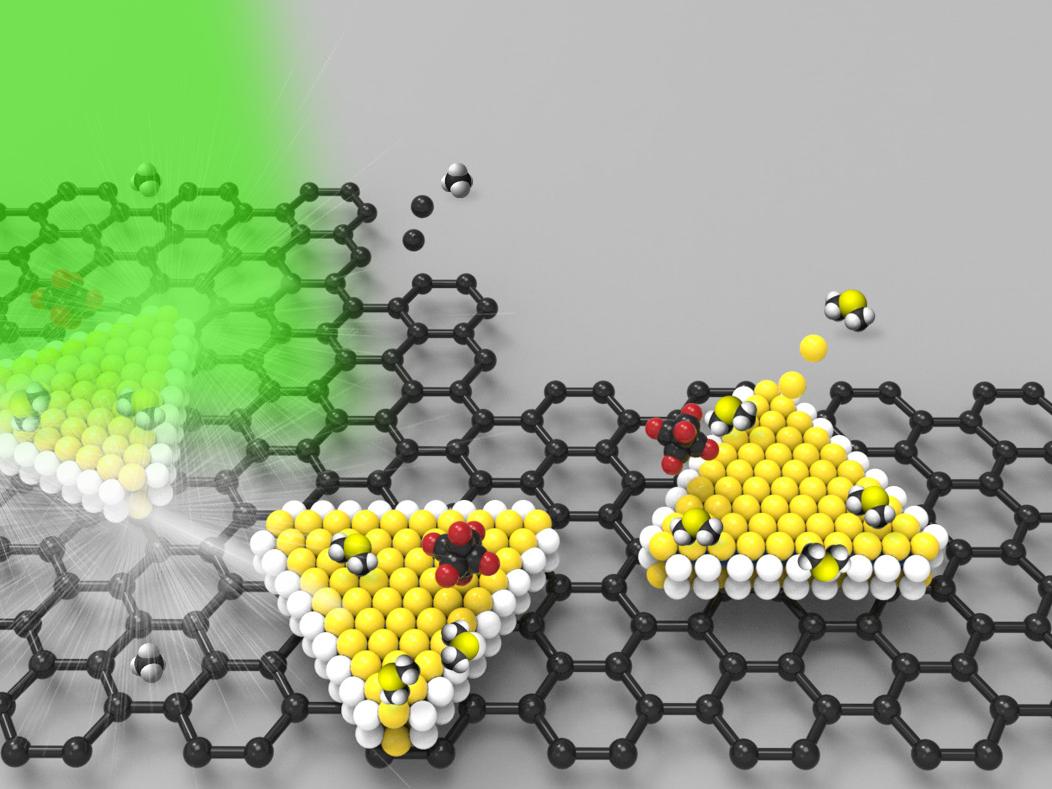 characterization 2D materials
