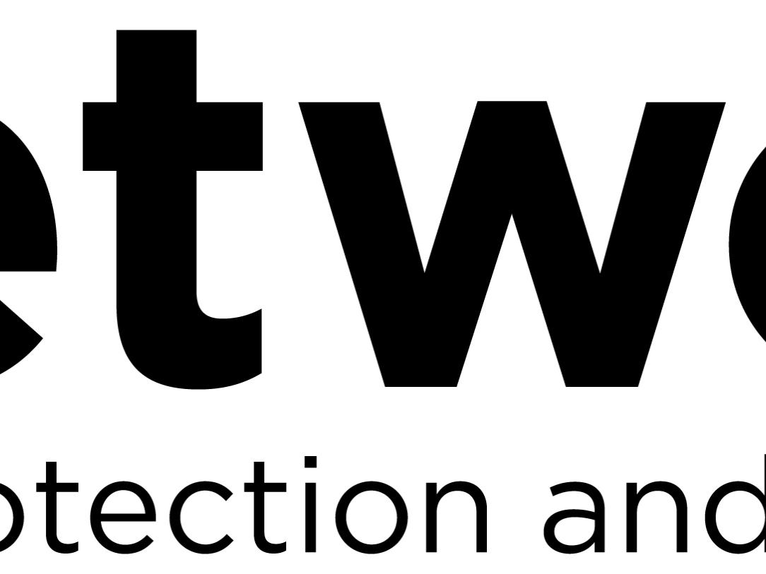 The Network on Child Protection and Well-Being