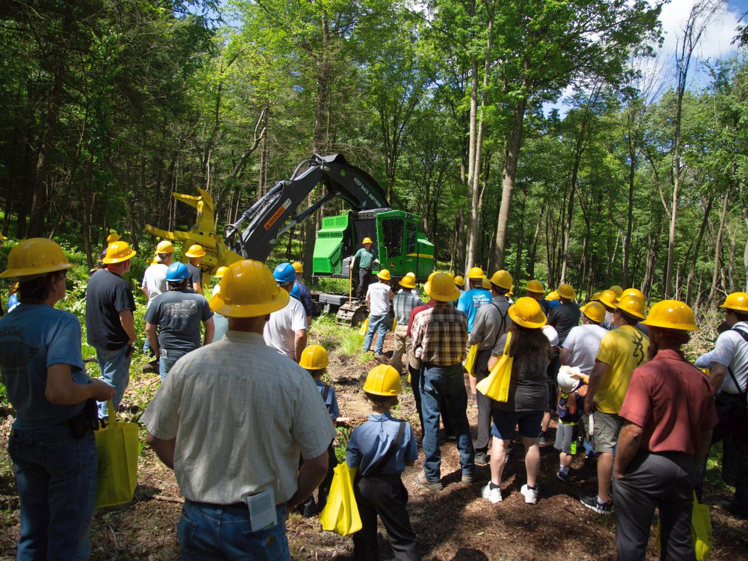 2017 Pa. Timber Show feller-buncher demo