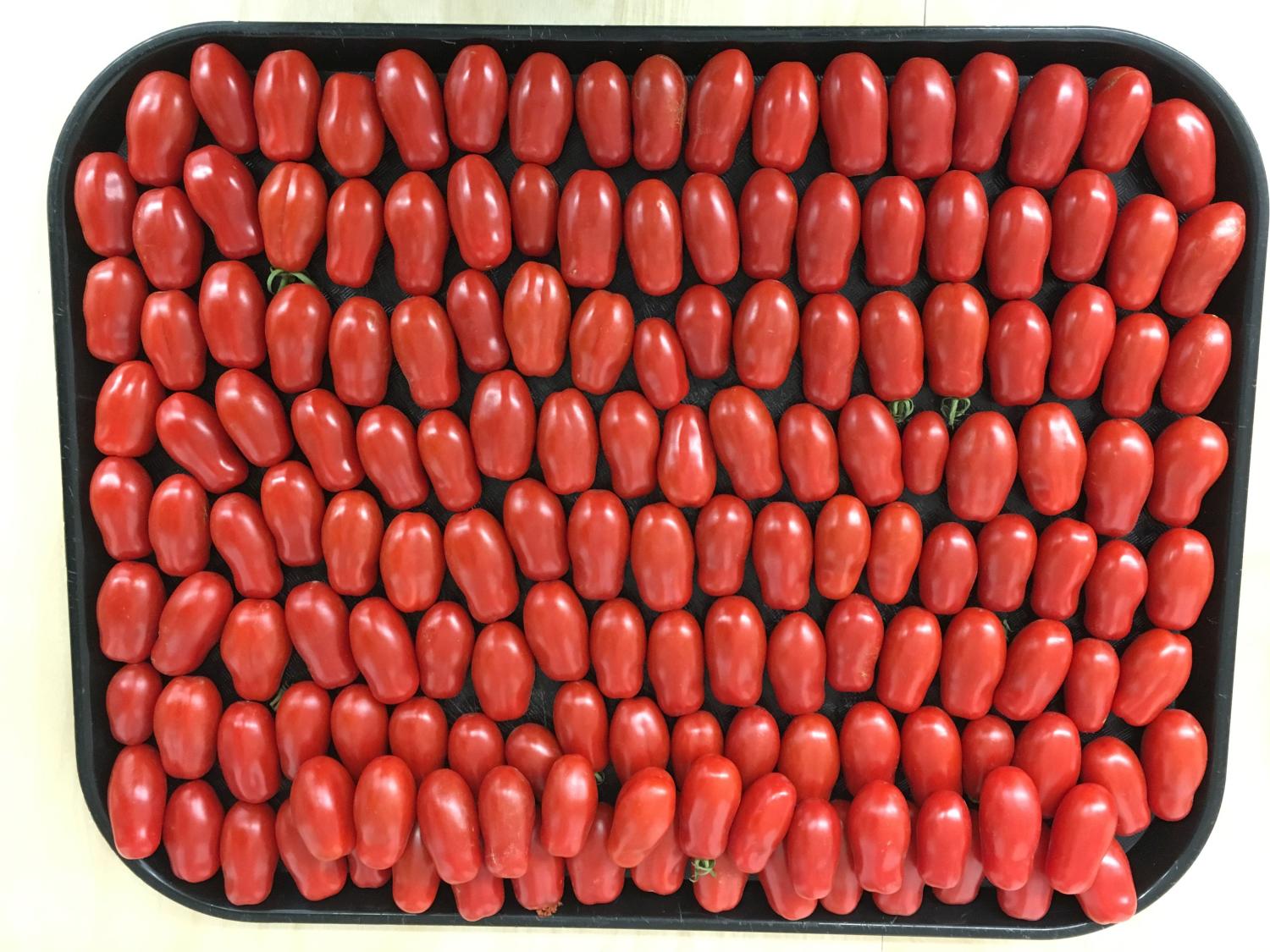 Valentine grape tomatoes