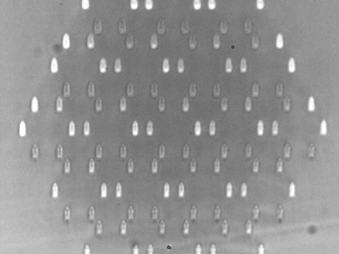 Microscope image of a cross-section of a waveguide array