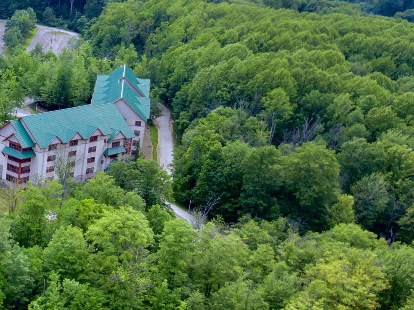 An image of the trees surrounding Ohio Hall at Penn State Behrend