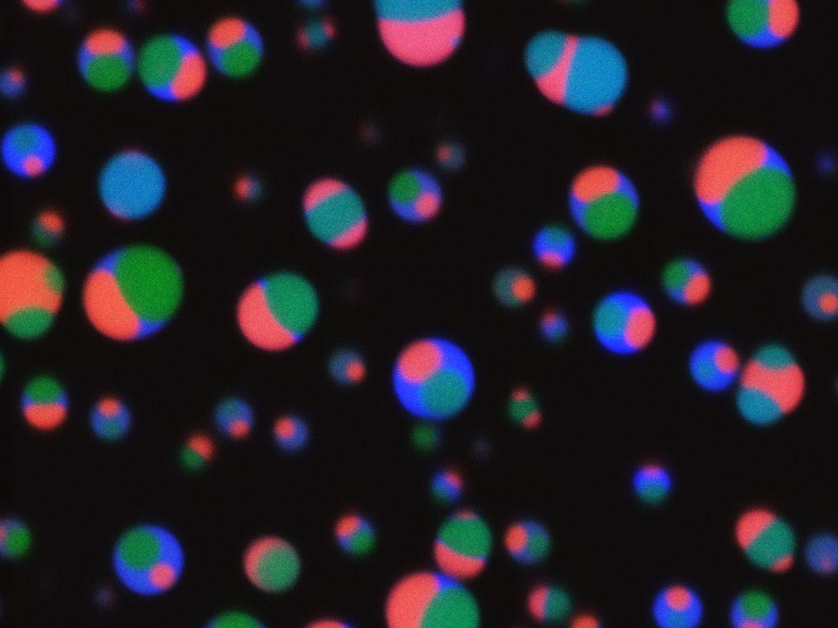 droplets with compartments of different colors