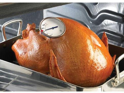 Turkey meat thermometer