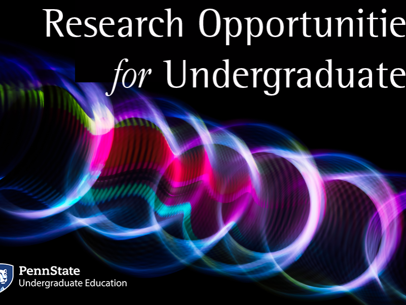 Research Opportunities for Undergraduates graphic
