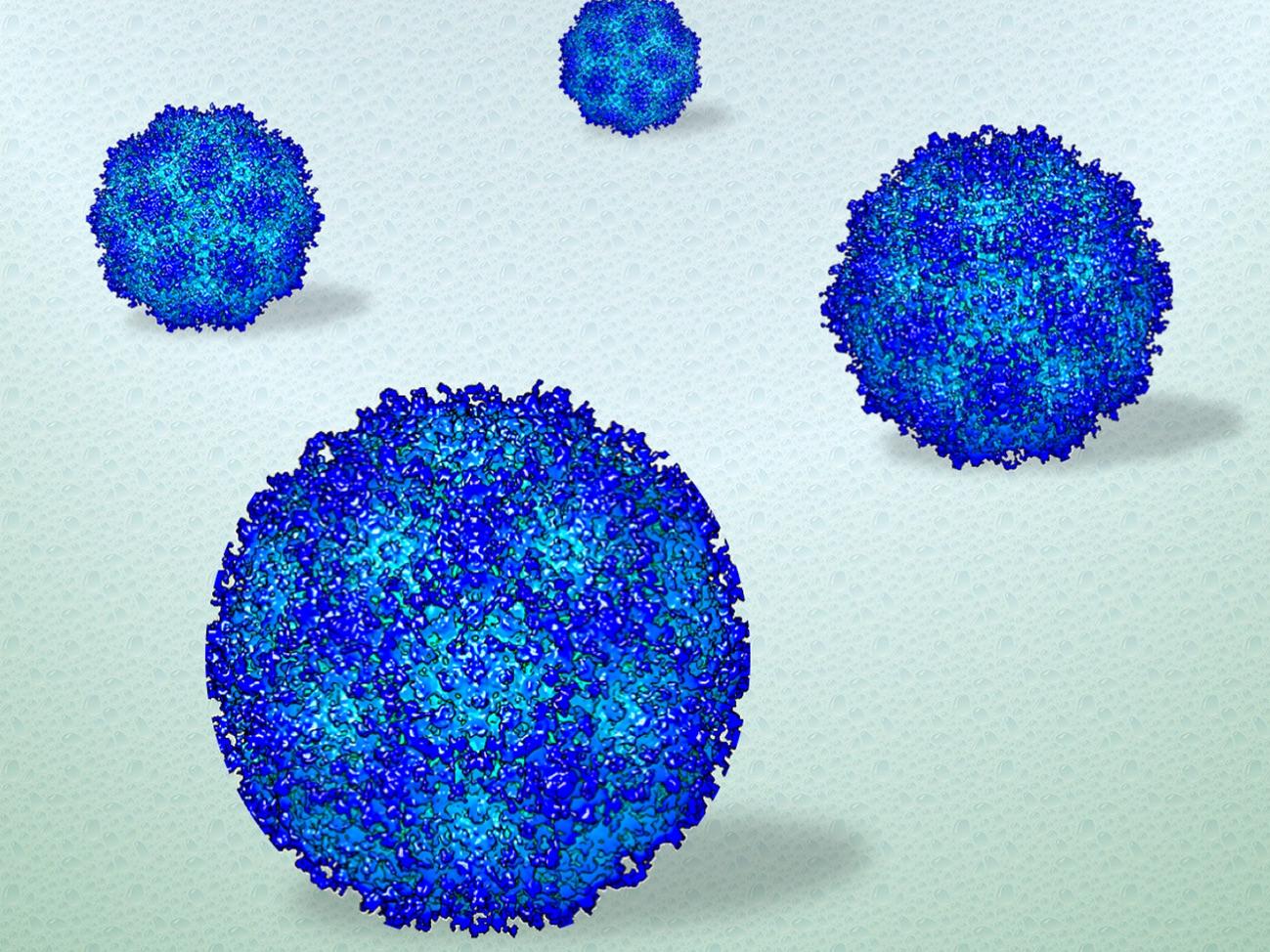 Blue balls sit on a light green background. 