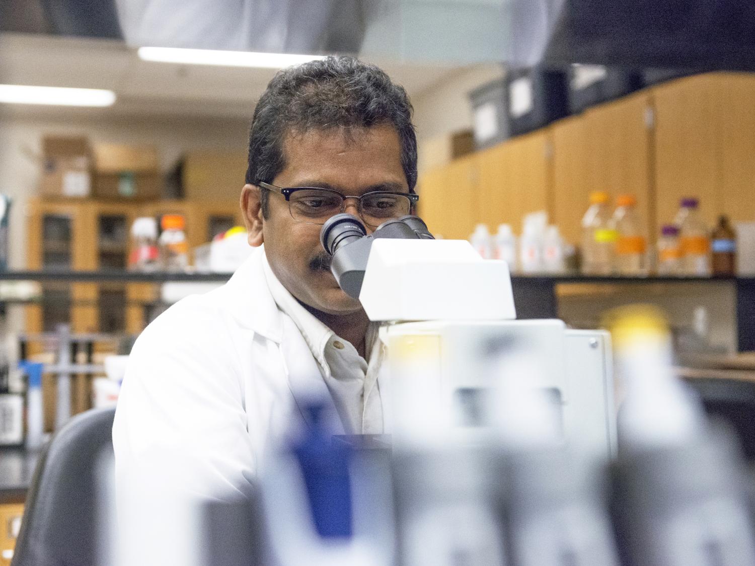 Jairam K.P. Vanamala, Ph.D.