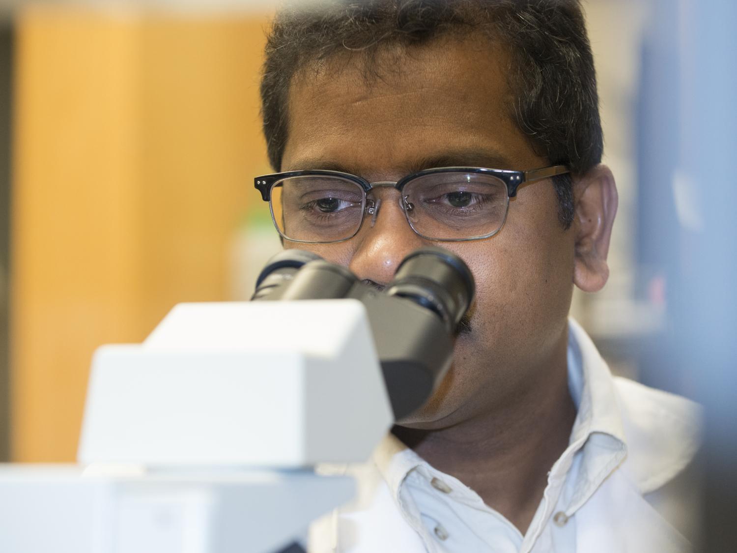 Jairam Vanamala
