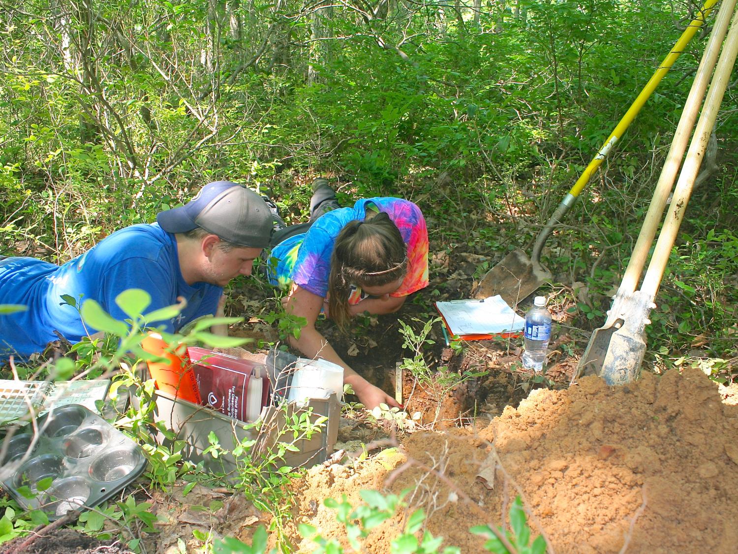 Students in the forest