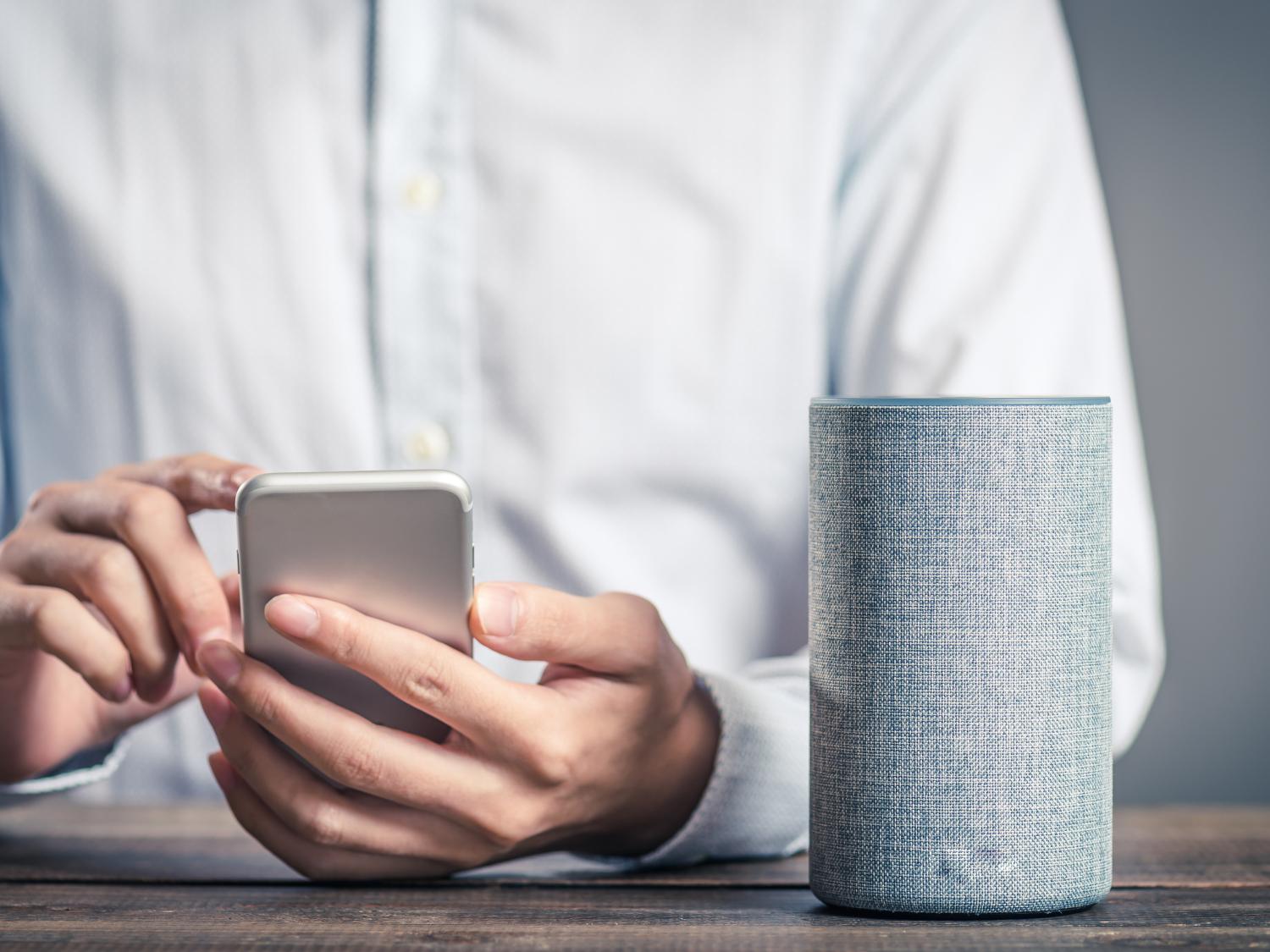 Virtual Assistant
