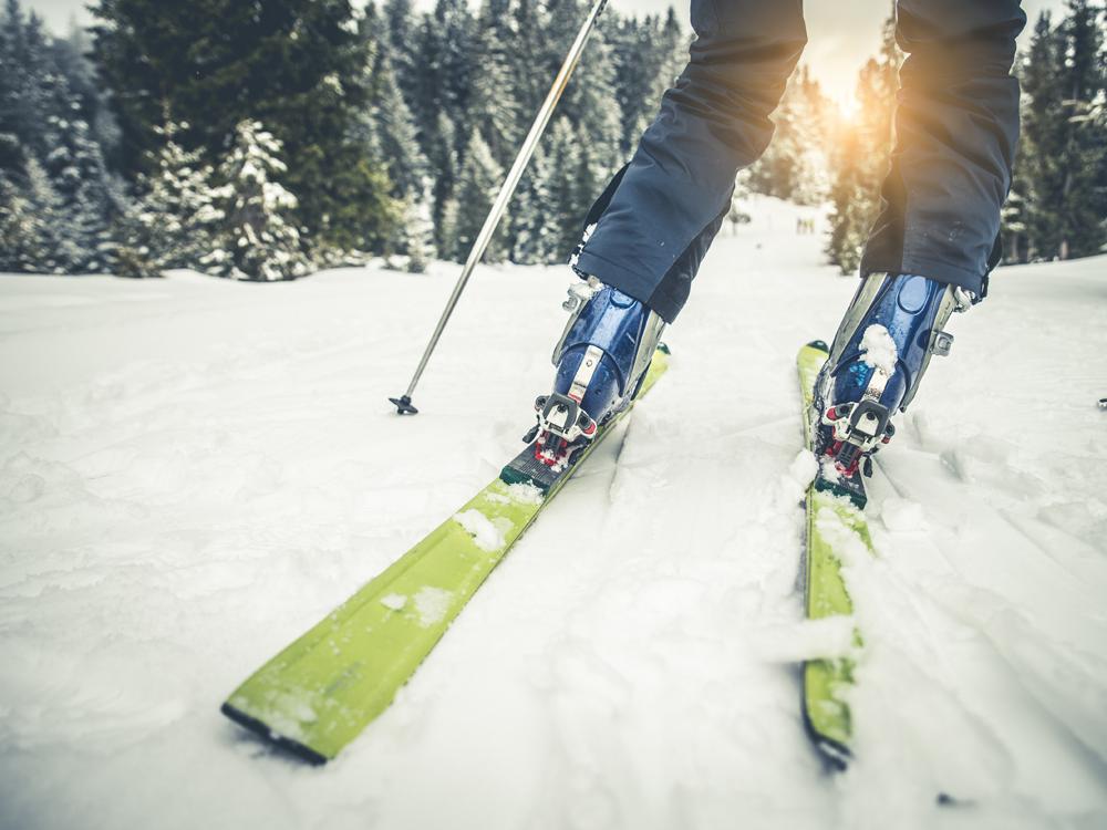 A close-up from behind of the bottom of a skier’s legs as they travel down a snowy hill lined with evergreen trees.