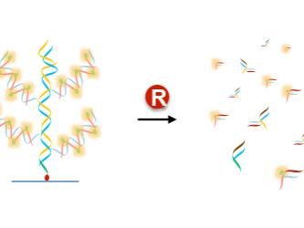 DNA nanotrees can grow and decompose via molecular controls at standard physiological conditions 