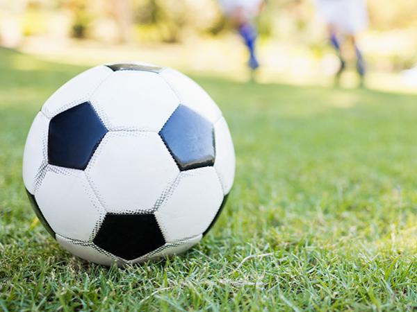 Soccer ball in a field