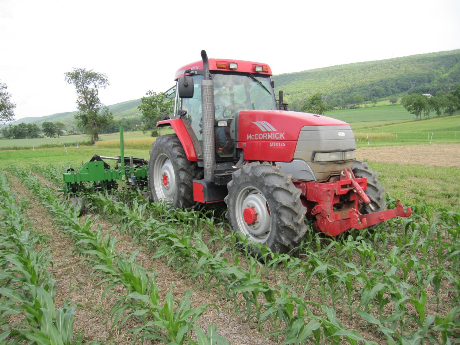 Weed management