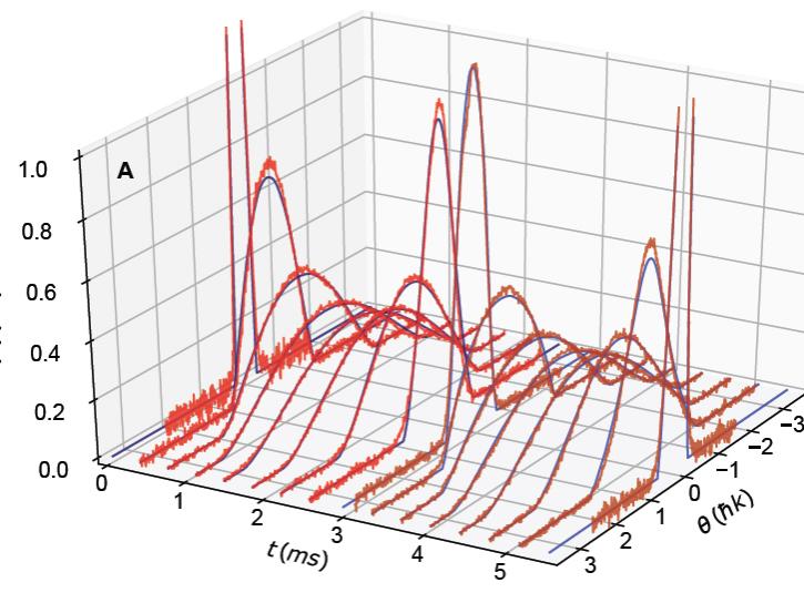 Graph showing match of expimental data for out-of-equilibrium one-dimensional gases with theory