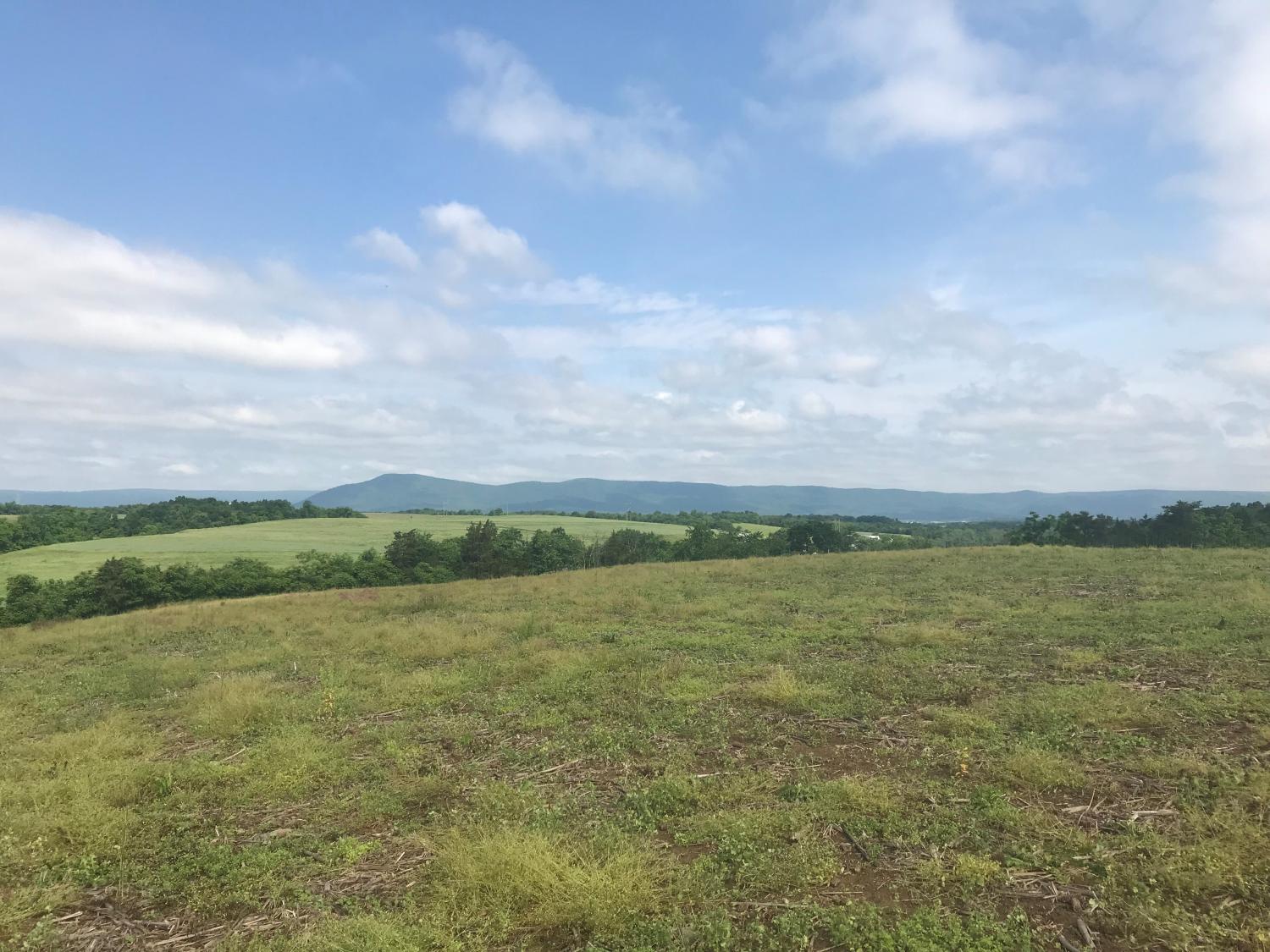 green rolling hills