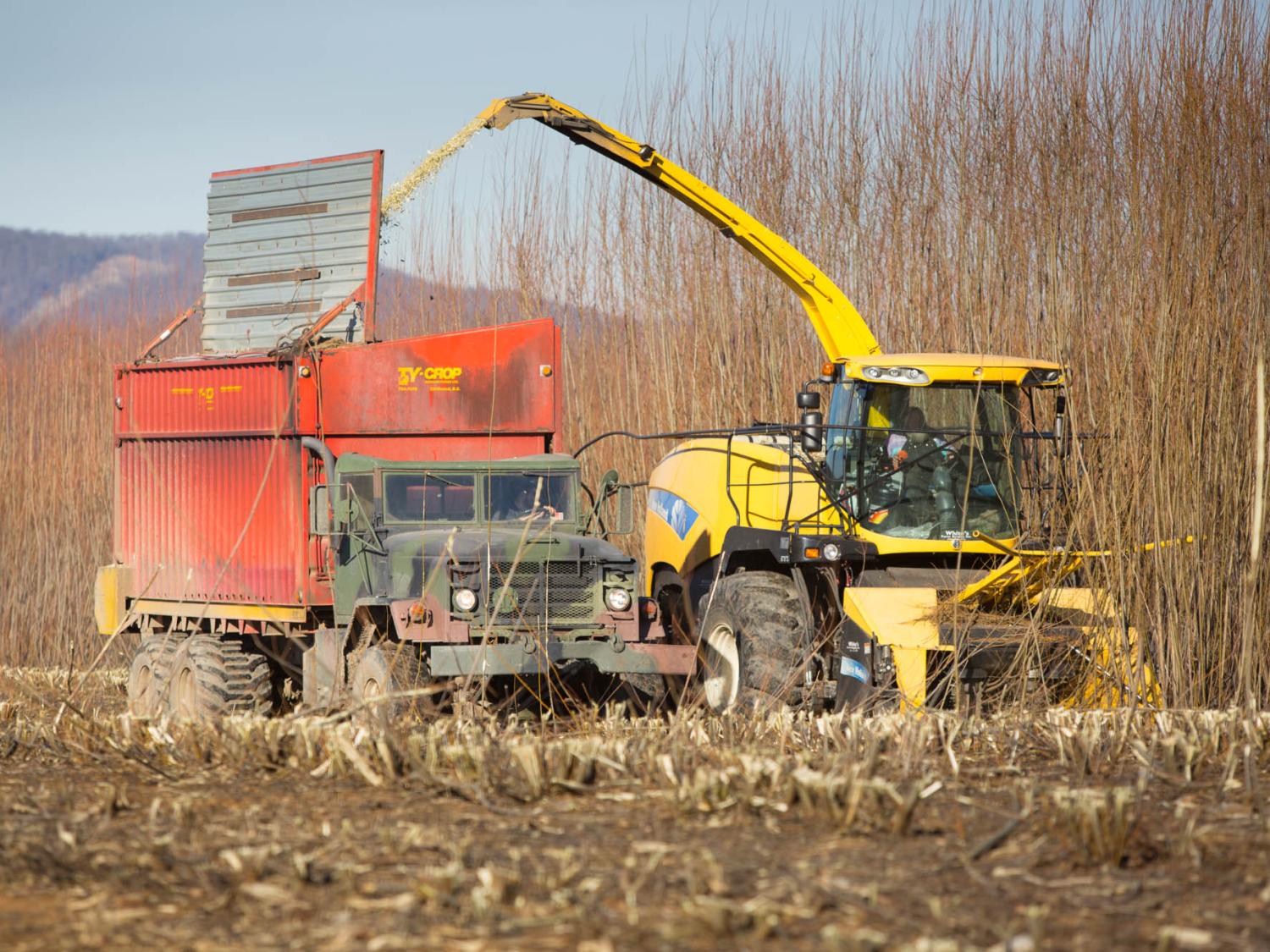 harvesting header photo