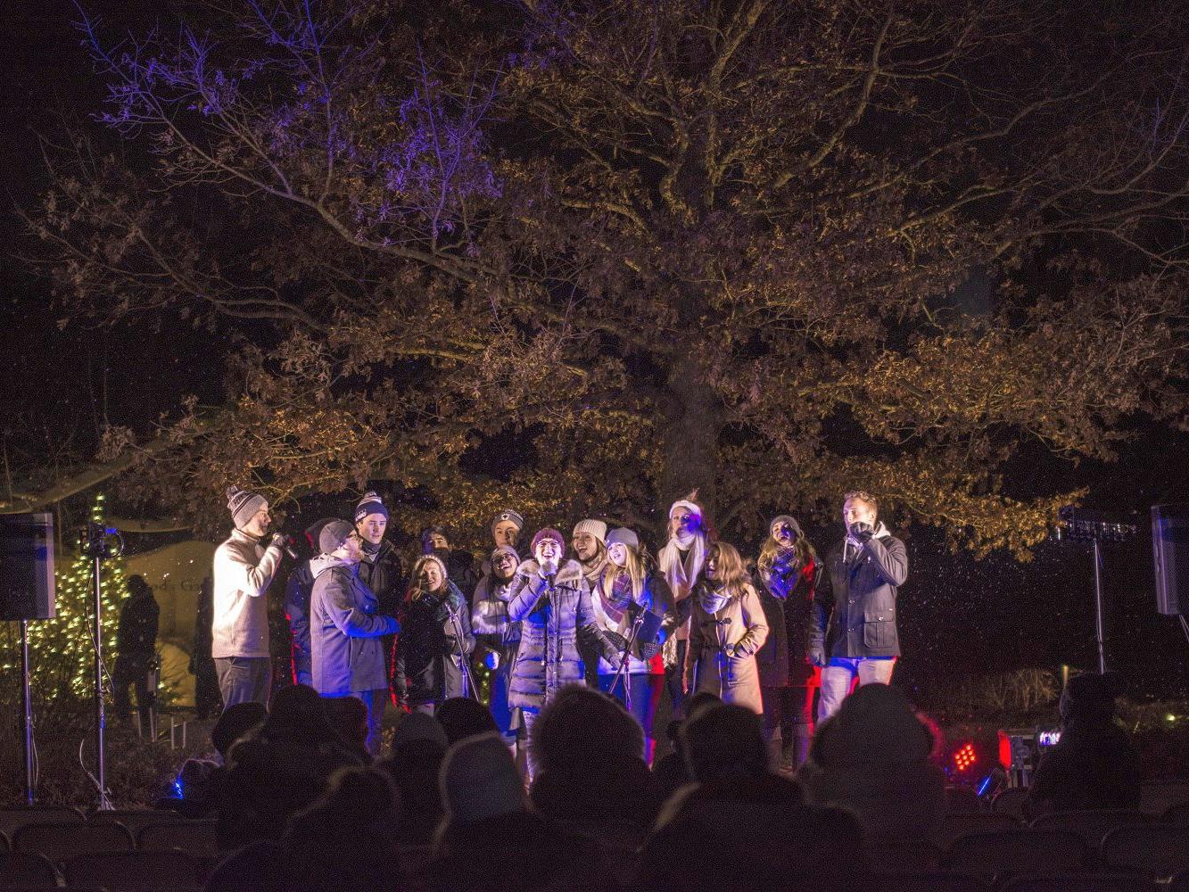 The Pennharmonics at the Arboretum