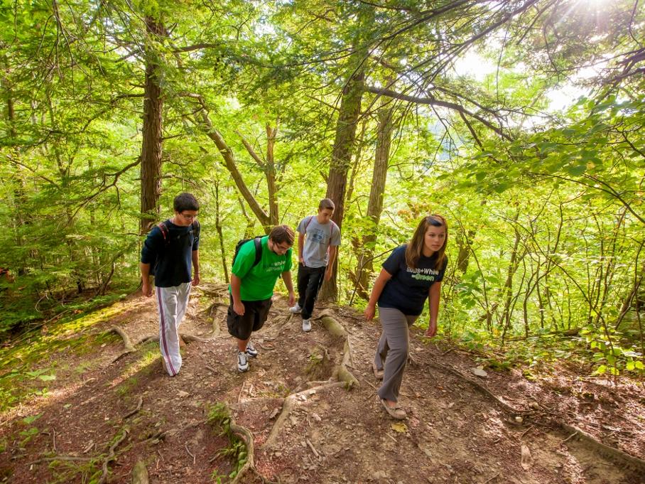 Four students walk in the woods of Wintergreen Gorge.