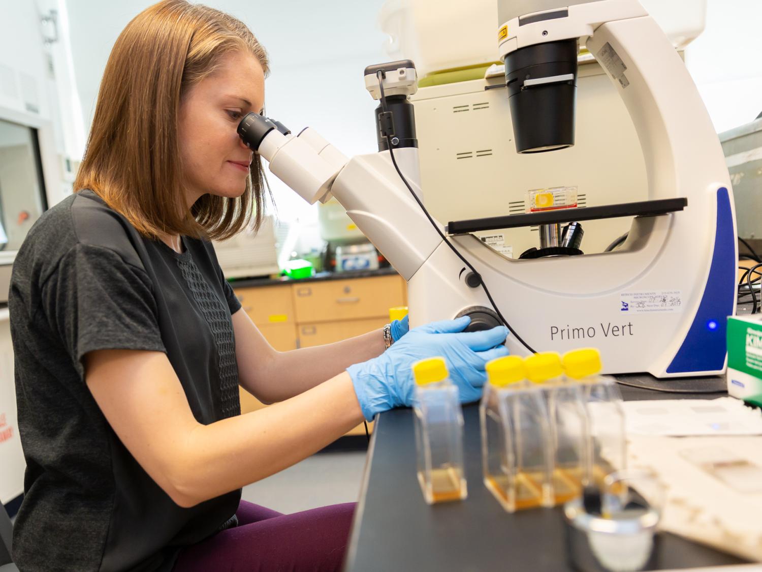 Megan Povelones working in the biology lab at Penn State Brandywine. 