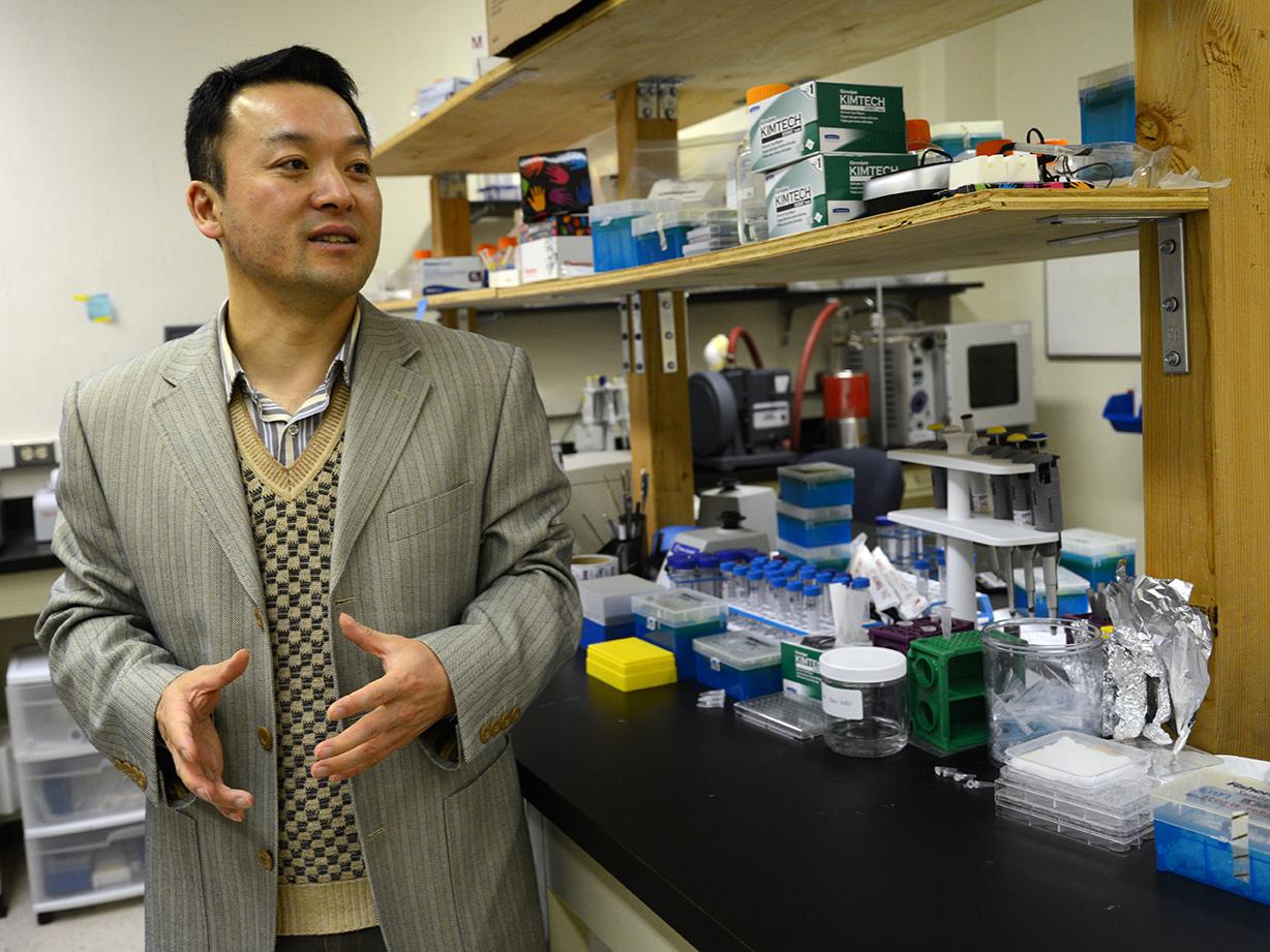 Yong Wang in his laboratory in Hallowell Building