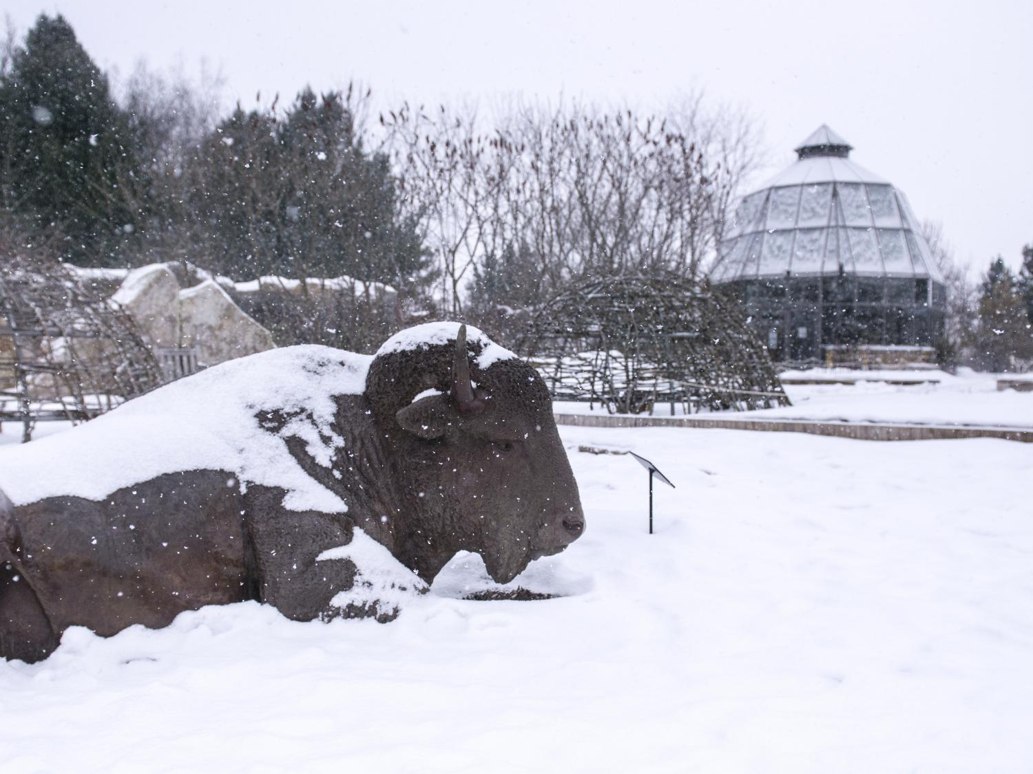 snow at Arboretum