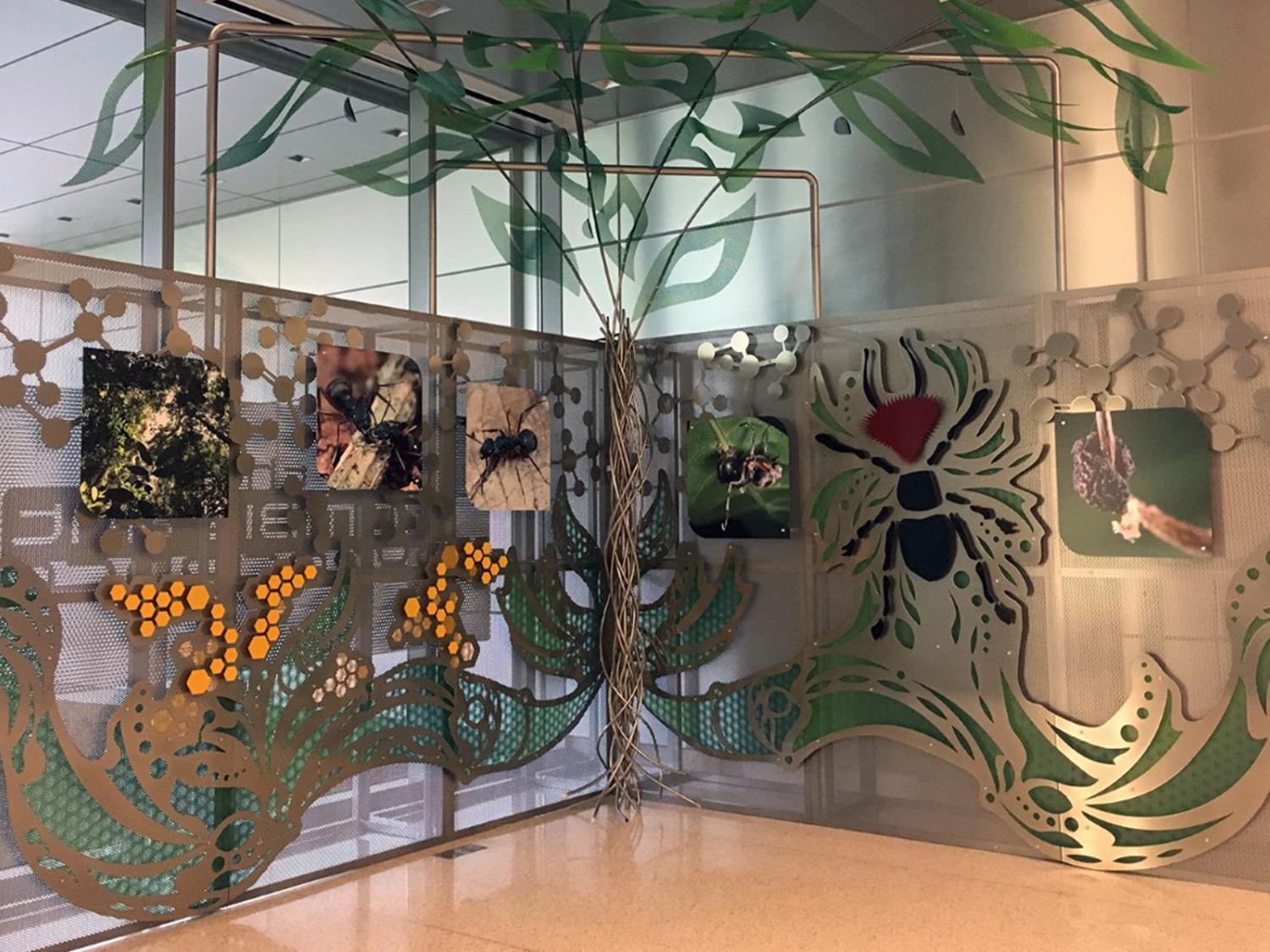 Zombie Ant Experience display