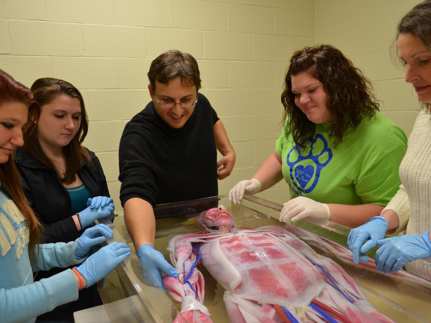 Penn State Shenango purchases SynDaver(TM) for Biology Department.