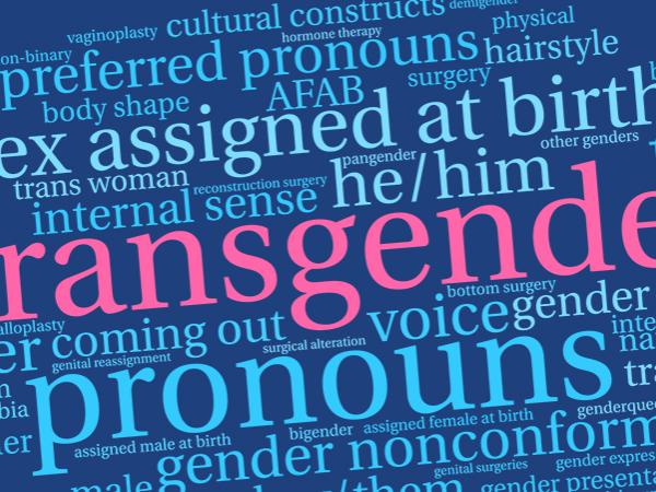 Transgender word cloud