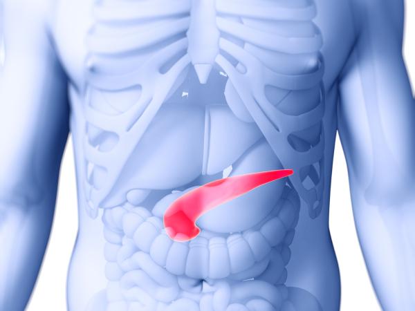 pancreas in situ