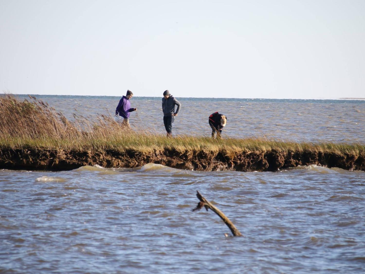 chesapeake bay
