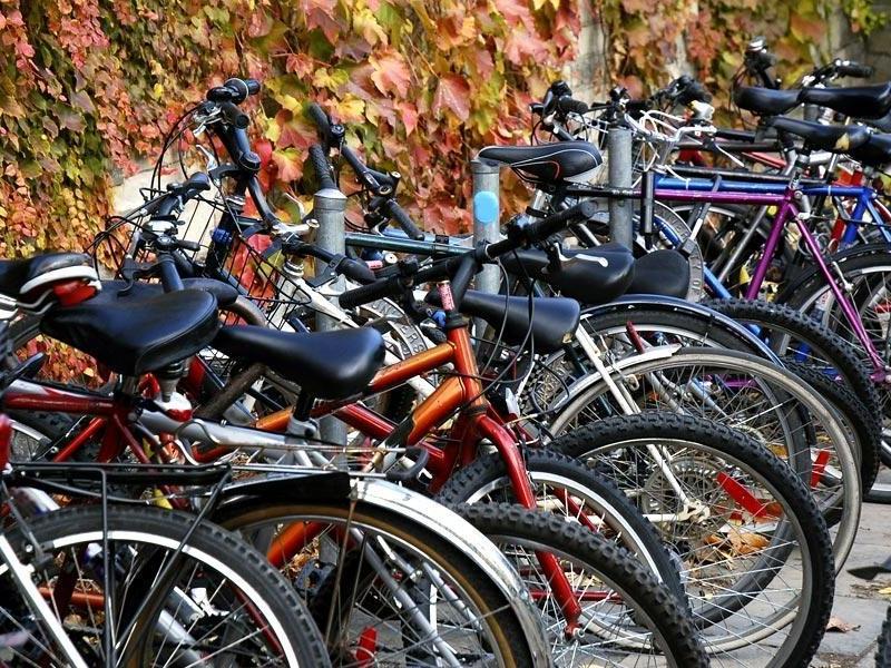 Bicycles parked at a bike rack.
