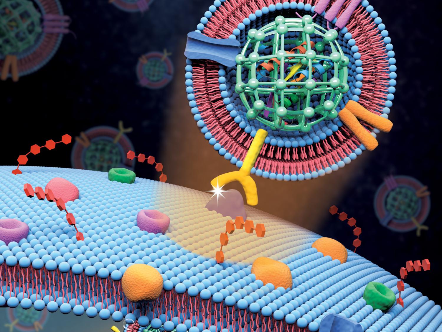 biomimetic nanosystem