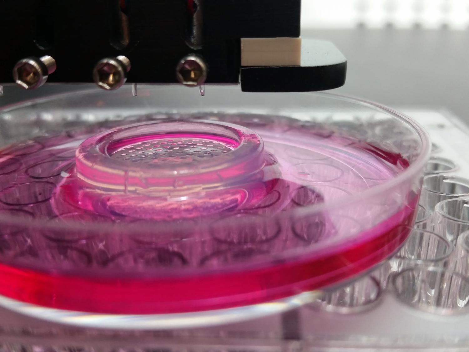 bioprinting cells