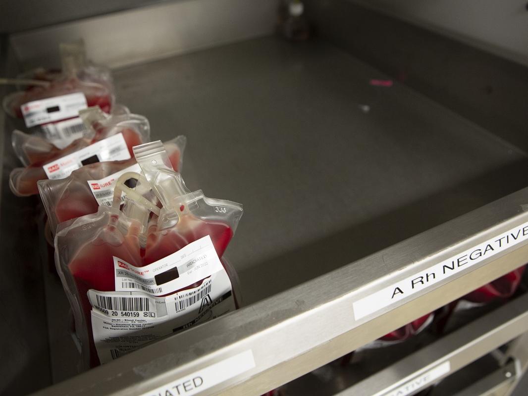 Several units of blood with labels are lined up in a metal tray.