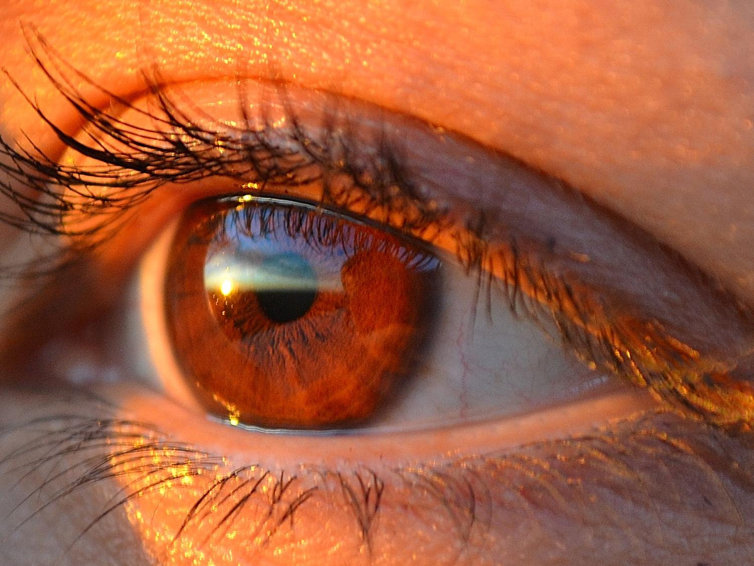 Closeup of an eye